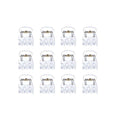 Tio SOHO Lucca Mini Hair Claws – Transparent från SOHO är ordnade i fyra rader på en enfärgad vit bakgrund och påminner om tandställningar med vita fästen och metalltrådar eller snyggt uppställda transparenta hårklämmor.